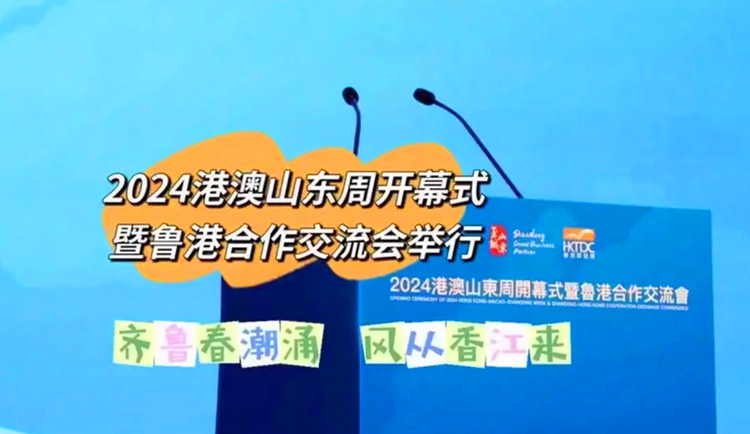 2024新澳精准资料大全